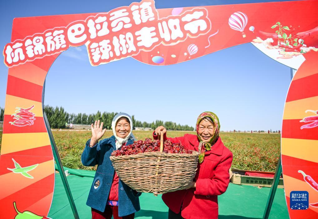 打牌吧官网